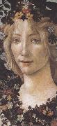 Sandro Botticelli Primavera china oil painting artist